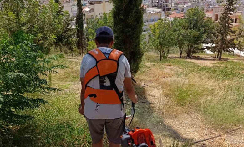 Χαϊδάρι: Καλοκαιρινή φροντίδα του Πάρκου Εθελοντισμού, από τη We4All 2 Χαϊδάρι: Καλοκαιρινή φροντίδα του Πάρκου Εθελοντισμού, από τη We4All 1