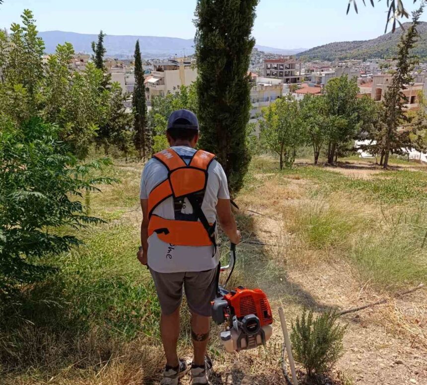 Χαϊδάρι: Καλοκαιρινή φροντίδα του Πάρκου Εθελοντισμού, από τη We4All  1