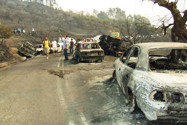 24 Αυγούστου 2007, Ηλεία… 51