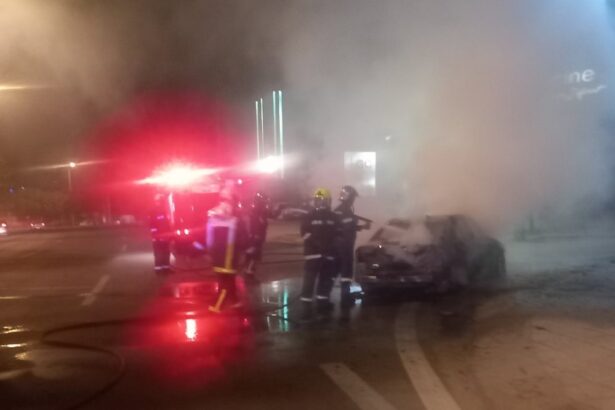 Λεωφόρος Αθηνών: Αυτοκίνητο κάηκε ολοσχερώς 41