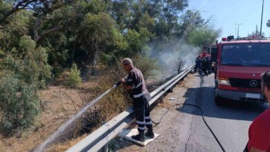 Φωτιά στη Λεωφόρο Αθηνών δίπλα στο δάσος, κινητοποιήθηκαν επίγεια και εναέρια μέσα 12