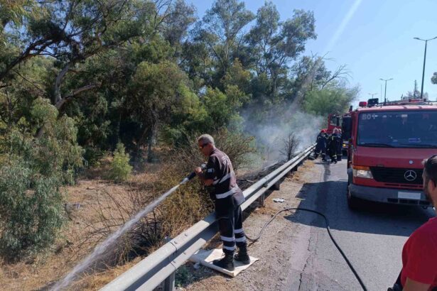 Φωτιά στη Λεωφόρο Αθηνών δίπλα στο δάσος, κινητοποιήθηκαν επίγεια και εναέρια μέσα 19
