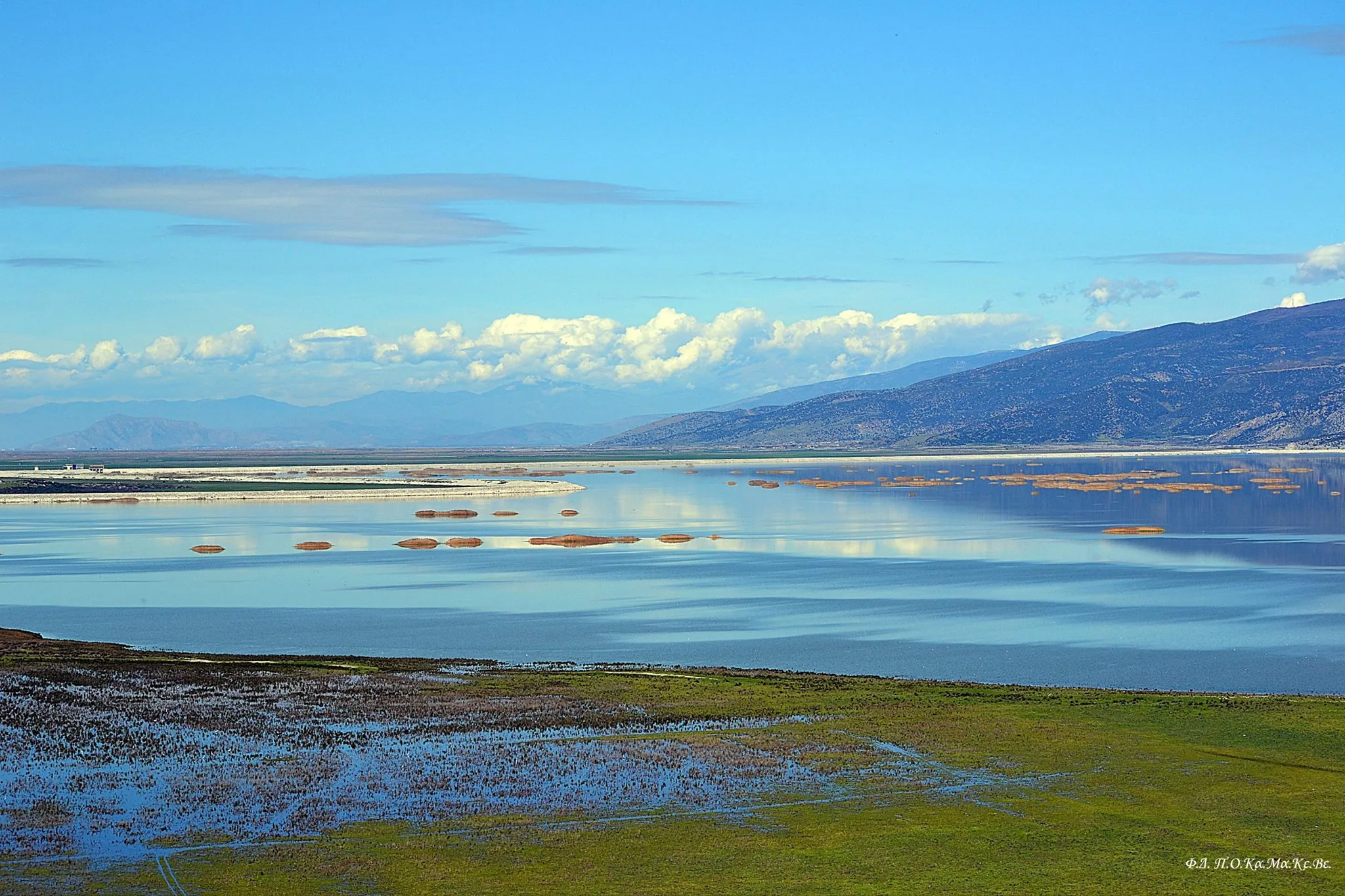 Κάρλα και Παγασητικός: Έκρηξη ζωής, θανάτου και κρατικού υδροκεφαλισμού! 6