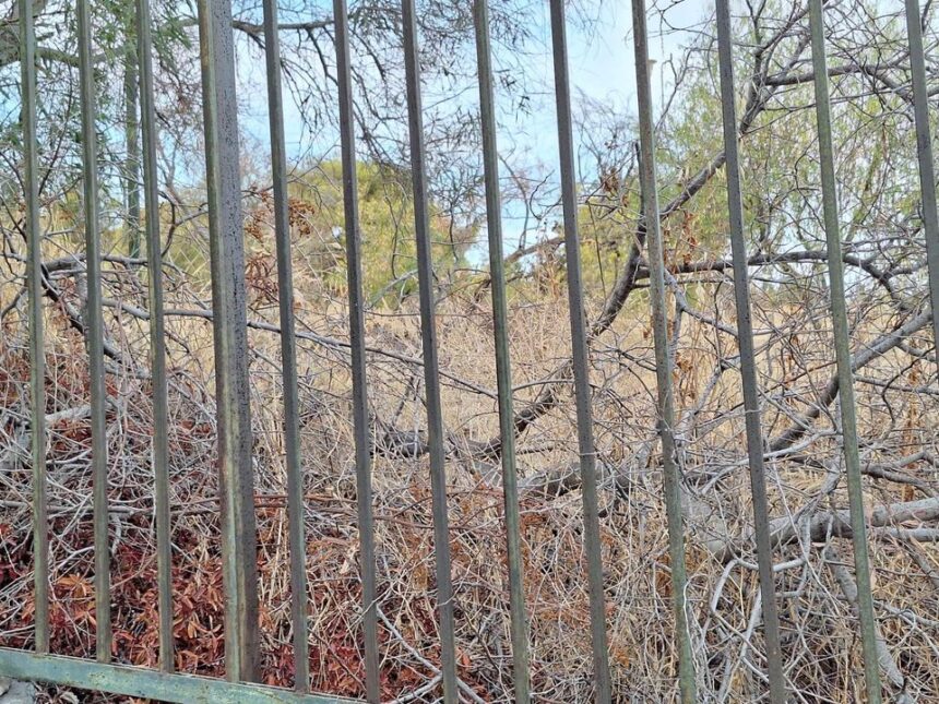 "Μισές δουλειές" 1