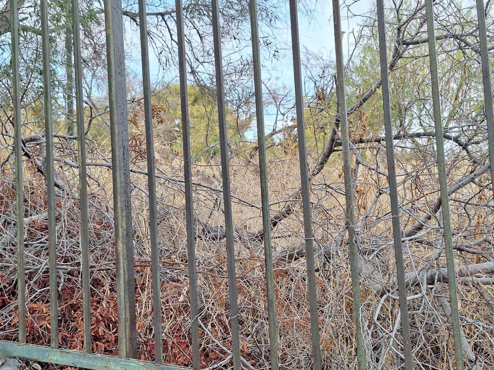 Καθαρισμός οικοπέδων: Τι αλλάζει φέτος για τους πολίτες - Αυστηρότερο πλαίσιο για υπόχρεους, κανόνες και χρονοδιάγραμμα 3