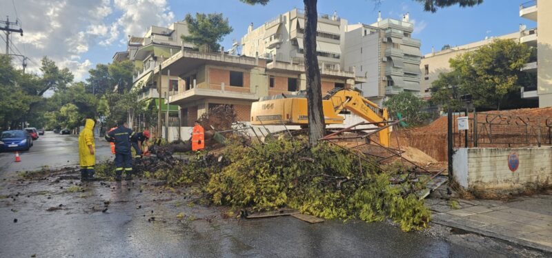 Η φθινοπωρινή καταιγίδα έριξε πεύκο στο Δάσος 6 Η φθινοπωρινή καταιγίδα έριξε πεύκο στο Δάσος 5