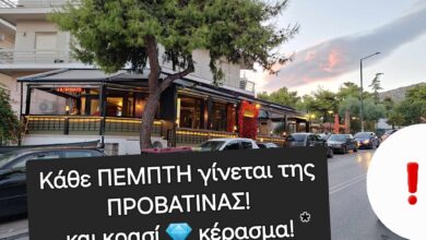 Στην αναζήτηση του καλού μεζέ 25
