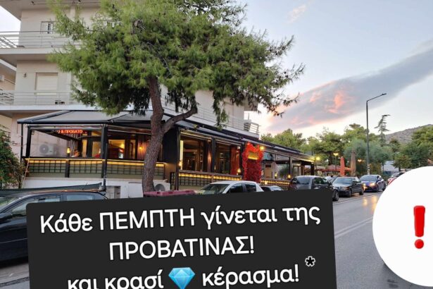 Στην αναζήτηση του καλού μεζέ 3