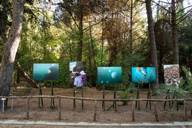 έκθεση