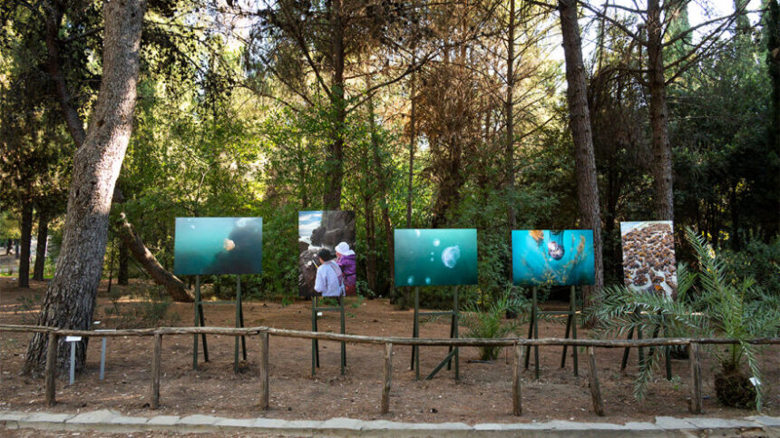 έκθεση
