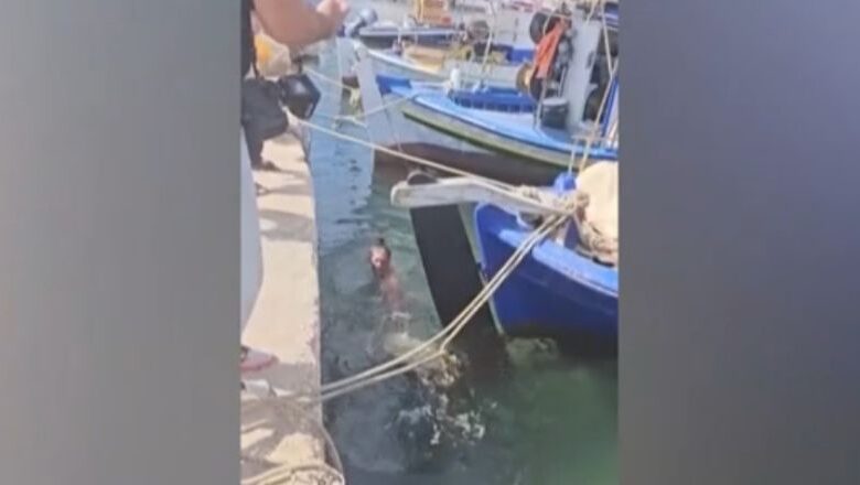 Aνάβυσσος: Καρέτα καρέτα διέκοψε τα γυρίσματα ερωτικής ταινίας – Δάγκωσε τον πρωταγωνιστή 2 Aνάβυσσος: Καρέτα καρέτα διέκοψε τα γυρίσματα ερωτικής ταινίας – Δάγκωσε τον πρωταγωνιστή 1