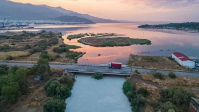 Κάρλα και Παγασητικός: Έκρηξη ζωής, θανάτου και κρατικού υδροκεφαλισμού! 29
