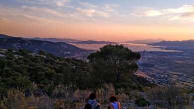 αναγέννηση του Ποικίλου Όρους