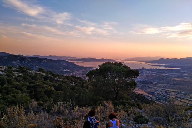 αναγέννηση του Ποικίλου Όρους