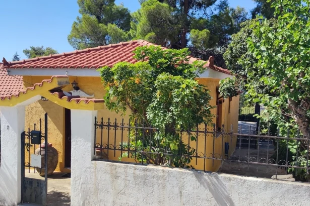 Άγιοι Θεόδωροι: Πωλείται μονοκατοικία με κήπο και θέα θάλασσα - Άριστο για εξοχική κατοικία ή επενδυτικό 95