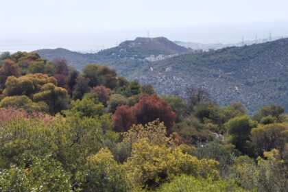 Έτσι δημιουργήθηκαν το Άλσος Δαφνίου, ο Προφήτης Ηλίας και το Μπαρουτάδικο 3