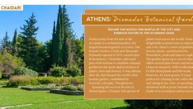 "Hidden travel gems": Στους 100+ κρυφούς θησαυρούς του κόσμου ο Διομήδειος Κήπος 26