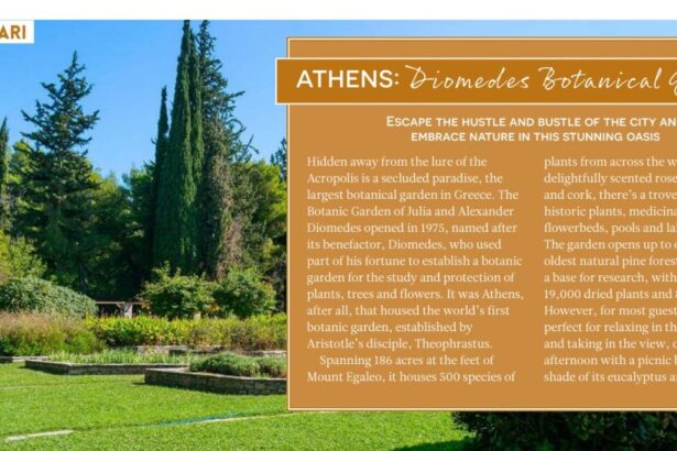 "Hidden travel gems": Στους 100+ κρυφούς θησαυρούς του κόσμου ο Διομήδειος Κήπος 53