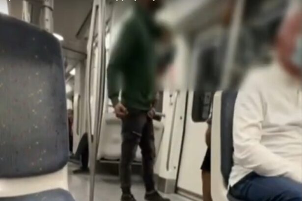 Σταθμός Νίκαια: Ζευγάρι πλακώθηκε στο ξύλο με το μωρό στην αγκαλιά! - Βίντεο 47