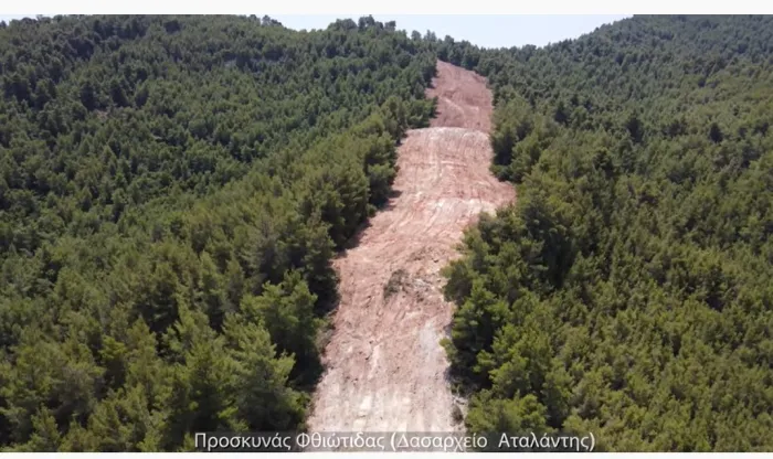 Πρόγραμμα μαμούθ AntiNero: - "Δεν θα σωθούν τα δάση αν τα ισοπεδώνουμε" 6 Πρόγραμμα μαμούθ AntiNero: - "Δεν θα σωθούν τα δάση αν τα ισοπεδώνουμε" 5