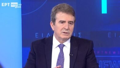 Μ. Χρυσοχοΐδης: Στέλνουμε γυναίκες αστυνομικούς στις πλατείες 7