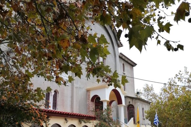 Πανηγυρίζει ο Άγιος Ανδρέας Χαϊδαρίου 39