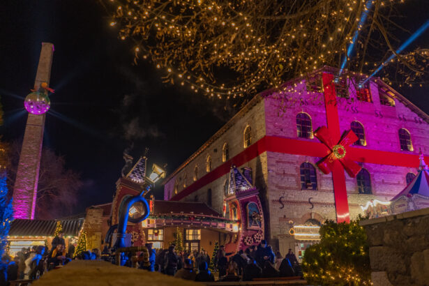 "Τι κάνει χοχο στα κεραμίδια;" Φέτος στο Μύλο των Ξωτικών γατούλες με ταλέντα μαγεύουν μικρούς και μεγάλους! 7