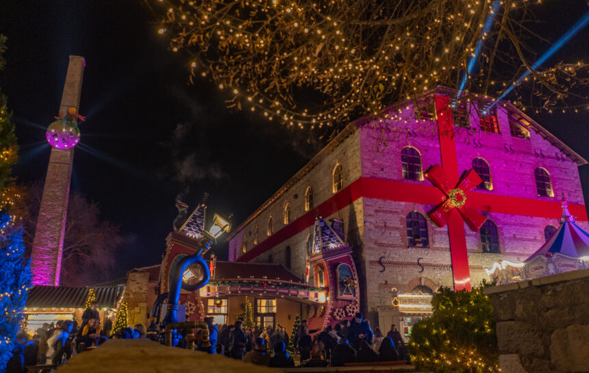 "Τι κάνει χοχο στα κεραμίδια;" Φέτος στο Μύλο των Ξωτικών γατούλες με ταλέντα μαγεύουν μικρούς και μεγάλους! 2 "Τι κάνει χοχο στα κεραμίδια;" Φέτος στο Μύλο των Ξωτικών γατούλες με ταλέντα μαγεύουν μικρούς και μεγάλους! 1