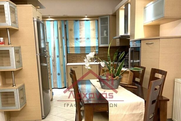Πωλείται ανακαινισμένο διαμέρισμα σε διπλοκατοικία στο Ίλιον 15