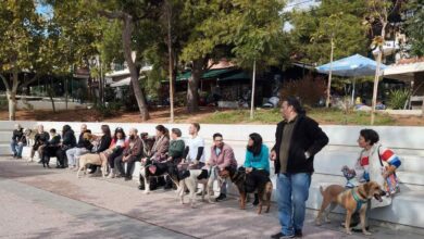 Έλα να τα βγάλουμε από τα κλουβιά! Αυτή την Κυριακή γίνε η παρέα που περιμένουν! 13