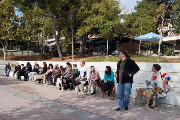 Έλα να τα βγάλουμε από τα κλουβιά! Αυτή την Κυριακή γίνε η παρέα που περιμένουν! 19