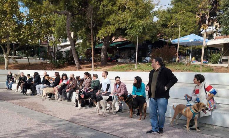 Έλα να τα βγάλουμε από τα κλουβιά! Αυτή την Κυριακή γίνε η παρέα που περιμένουν! 2 Έλα να τα βγάλουμε από τα κλουβιά! Αυτή την Κυριακή γίνε η παρέα που περιμένουν! 1