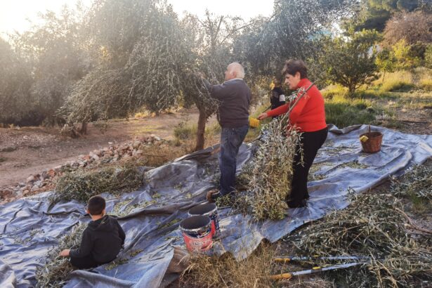 Λιομάζωμα στο Χαϊδάρι - Παππούδες και εγγόνια σε δράση 59