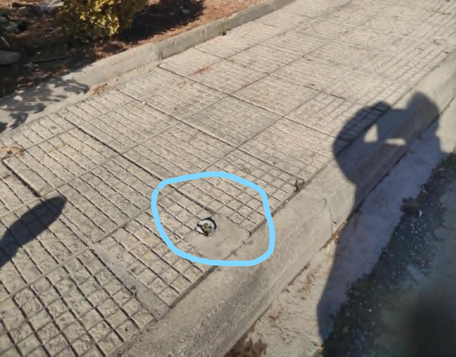 Ξηλώνουν πινακίδες στη Γ. Παπανδρέου; To "κερασάκι στην τούρτα" μιας κυκλοφοριακής παράνοιας 6 Ξηλώνουν πινακίδες στη Γ. Παπανδρέου; To "κερασάκι στην τούρτα" μιας κυκλοφοριακής παράνοιας 5