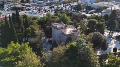 "Ραντεβού στο Παλατάκι!" - Βίντεο 52