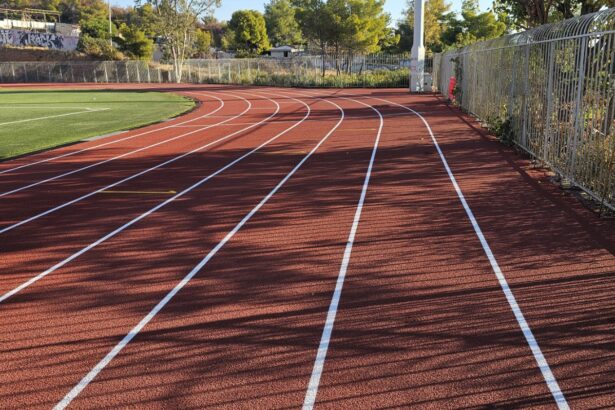 Ανοίγει το Αθλητικό Κέντρο Δάσους - Ποιες εργασίες θα γίνουν επιπλέον 43