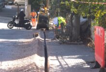 Ίνα στο σπίτι