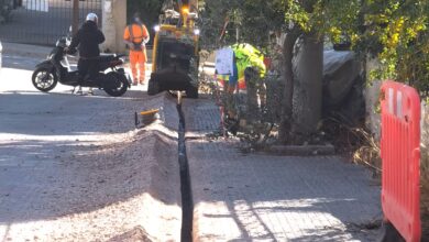 Ίνα στο σπίτι