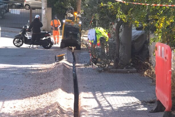 Ίνα στο σπίτι