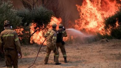 Μ. Σελέκος: Οι ήρωες του καλοκαιριού ξυλοφορτώνονται το φθινόπωρο 74