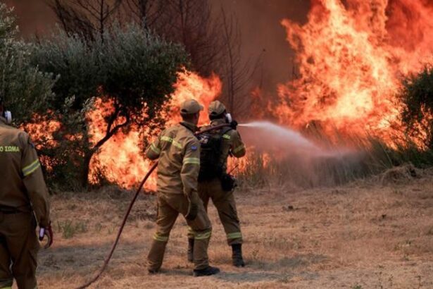 Μ. Σελέκος: Οι ήρωες του καλοκαιριού ξυλοφορτώνονται το φθινόπωρο 39