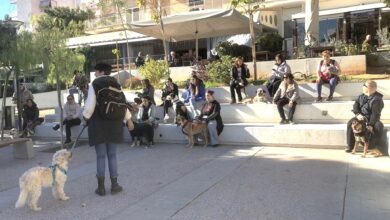 "Κυριακάτικες βολτάρες!" - Έλα να τα βγάλουμε από τα κλουβιά, γίνε η παρέα που περιμένουν 37