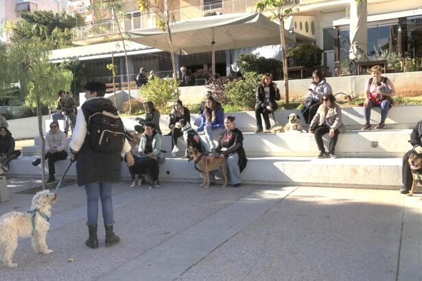 "Κυριακάτικες βολτάρες!" - Έλα να τα βγάλουμε από τα κλουβιά, γίνε η παρέα που περιμένουν 11
