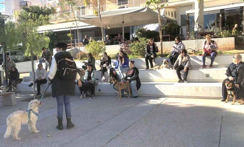 "Κυριακάτικες βολτάρες!" - Έλα να τα βγάλουμε από τα κλουβιά, γίνε η παρέα που περιμένουν 2 "Κυριακάτικες βολτάρες!" - Έλα να τα βγάλουμε από τα κλουβιά, γίνε η παρέα που περιμένουν 1