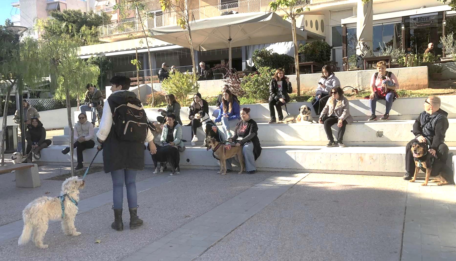 "Κυριακάτικες βολτάρες!" - Έλα να τα βγάλουμε από τα κλουβιά, γίνε η παρέα που περιμένουν 6 "Κυριακάτικες βολτάρες!" - Έλα να τα βγάλουμε από τα κλουβιά, γίνε η παρέα που περιμένουν 5