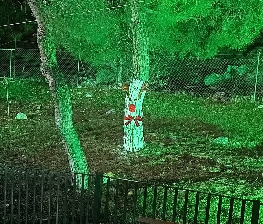 Η Αφαία στολίστηκε με φως, χαρά, καλή διάθεση και εύχεται καλές γιορτές σε όλους! 6 Η Αφαία στολίστηκε με φως, χαρά, καλή διάθεση και εύχεται καλές γιορτές σε όλους! 5