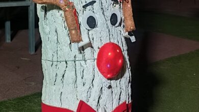 Η Αφαία στολίστηκε με φως, χαρά, καλή διάθεση και εύχεται καλές γιορτές σε όλους! 25
