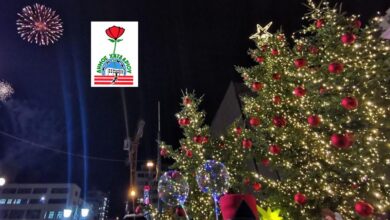 "Φτάνει πια με τα ψέματα του κυρίου Σελέκου" 33