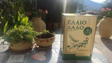 Ελαιόλαδο: Τι ισχύει με τους τενεκέδες - Αντιδράσεις και διευκρινίσεις 74