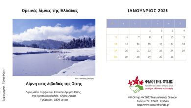 Οι "Ορεινές λίμνες της Ελλάδας" πρωταγωνίστριες στο ημερολόγιο των Φίλων της Φύσης 38